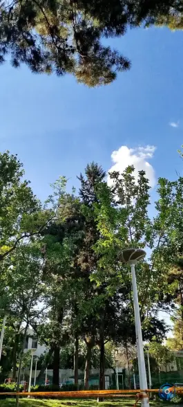 عکس بوستان کودک، محله عبادی، مشهد 10