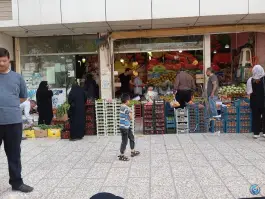 عکس میوه سرا سید ارزان فروش، محله استاد یوسفی، مشهد 2