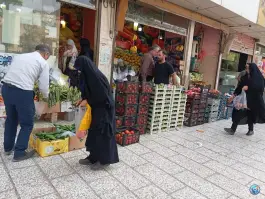 عکس میوه سرا سید ارزان فروش، محله استاد یوسفی، مشهد 3