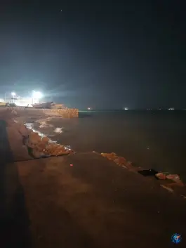 عکس تفریحات آبی و غواصی دلفین مرجان، زیتون، قشم 3