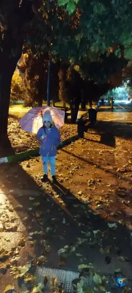 عکس بوستان خلد برین، رحمت آباد، شیراز 5