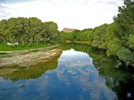 عکس بوستان جنگلی ناژوان، محله ناژوان، اصفهان 4