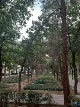 عکس بوستان جنگلی ناژوان، محله ناژوان، اصفهان 6