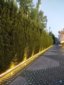 عکس باغ تالار عمارت دانیال، سعادتیه، کرج 5