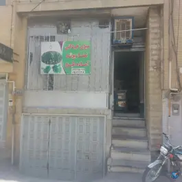 عکس سبزی آماده نعنا پونه، محله مصلی، اصفهان 1