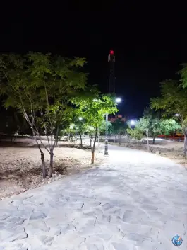 عکس دالاهو، شیراز 1