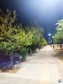 عکس دالاهو، شیراز 3