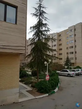عکس دالاهو، شیراز 6