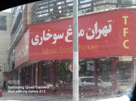 عکس مرغ سوخاری تهران 7