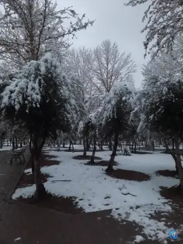 عکس دانشگاه ملی مهارت دختران دکتر شریعتی تهران 3