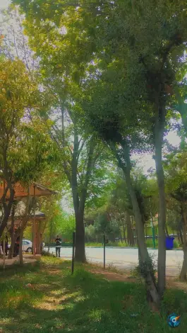عکس دانشگاه ملی مهارت دختران دکتر شریعتی تهران 5
