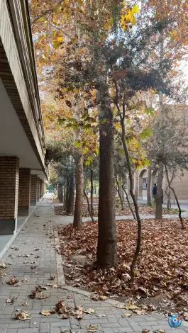 عکس دانشگاه ملی مهارت دختران دکتر شریعتی تهران 6