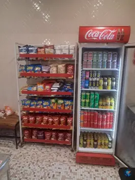 استخر حامی