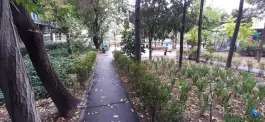 عکس پردیس علوم دانشگاه خواجه نصیرالدین طوسی 2