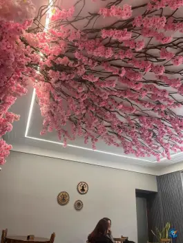 عکس عمارت دیمورا 3
