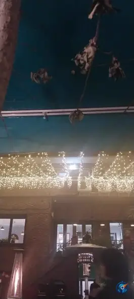 عکس عمارت دیمورا 6