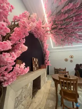 عکس عمارت دیمورا 7