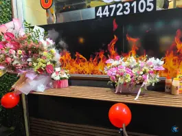 عکس فلافل شفرونی 3