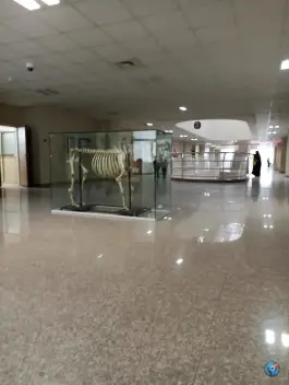 عکس دانشکده دامپزشکی 2
