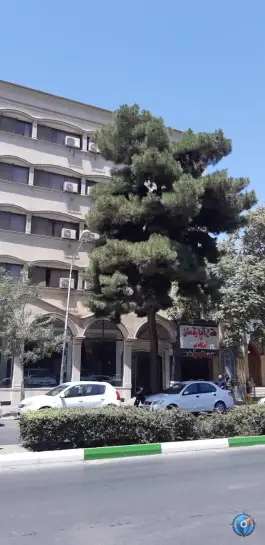 عکس هتل آپارتمان و رستوران فولادی 7