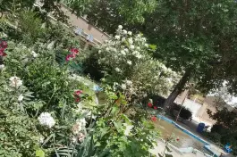 عکس دبیرستان و دانشگاه دخترانه علوم و معارف اسلامی شهید مطهری (ره) 9