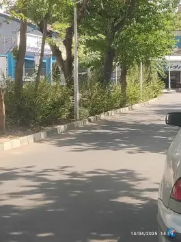 عکس باشگاه بیلیارد شهید مرغوبکار 2
