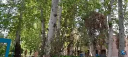 عکس هنرستان نمونه دولتی امام صادق (ع) 10