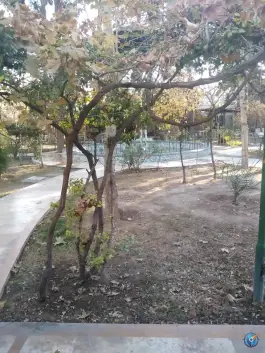 عکس رستوران باغ گلستان 10