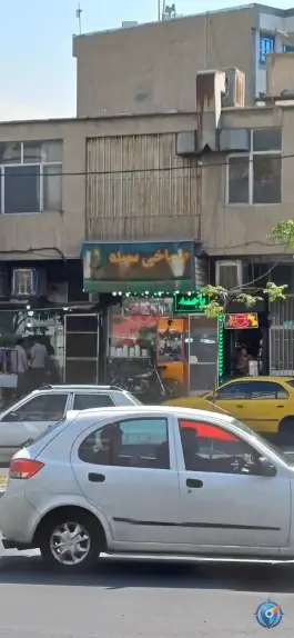عکس طباخی سپیده 2