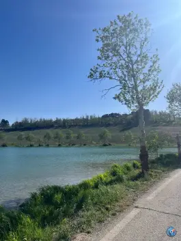 عکس دریاچه ورزشگاه آزادی 2