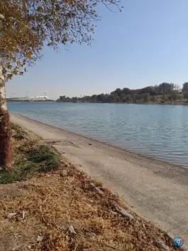 عکس دریاچه ورزشگاه آزادی 9
