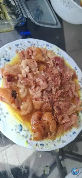 عکس طباخی لیمو ترش 3