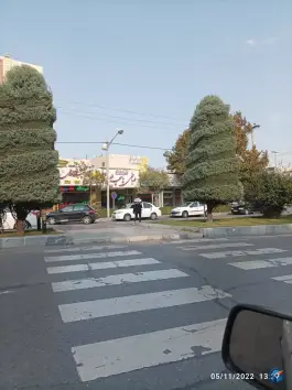 عکس طباخی پاچه طلا 2