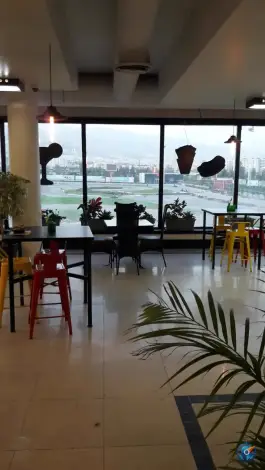 عکس مجموعه کارتینگ آزادی 5
