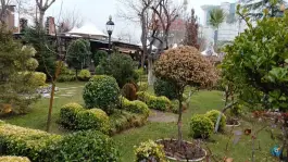 عکس لرد گاردن 9