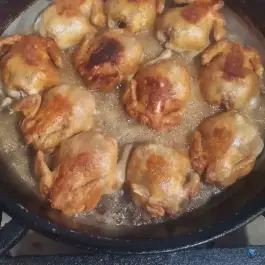 عکس اکبر جوجه شاندیز 9