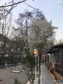 عکس مجموعه پذیرایی باغ گیلاس 7