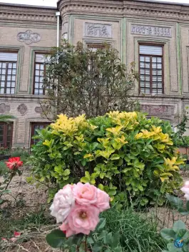 عکس بیمارستان موقوفه فاضل عراقی 2