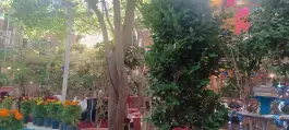 عکس باغچه خانوادگی آبشار 7