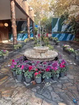 سفره خانه تخت جمشید