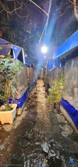 عکس سفره خانه تخت جمشید 9