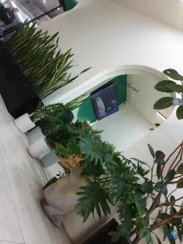 عکس مجموعه غذایی شاهان 2