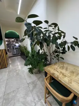عکس مجموعه غذایی شاهان 4