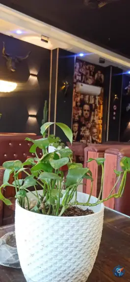 عکس سفره خانه سنتی هزاردستان 2