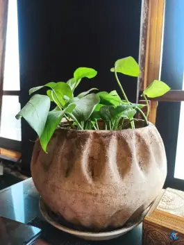 عکس سفره خانه سنتی هزاردستان 7