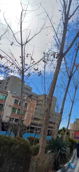 عکس دانشکده مهندسی کامپیوتر 2