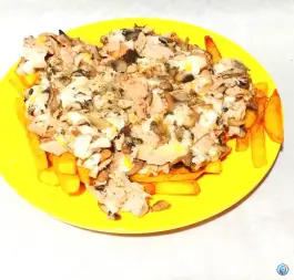 عکس فست فود تمشک 7