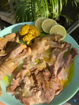 عکس طباخی صبا مرزداران 6