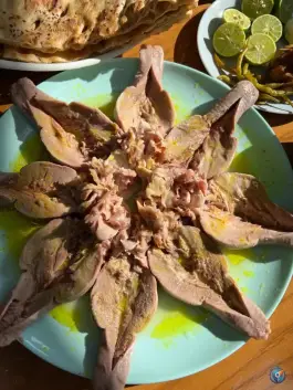 عکس طباخی صبا مرزداران 9