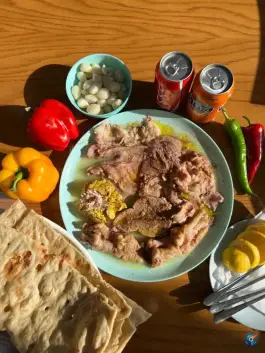 عکس طباخی صبا مرزداران 10